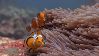 Episode 14 Wishy Washy