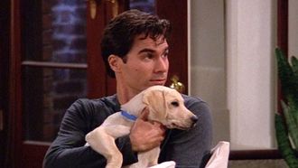 Episode 9 The Truth About Will and Dogs