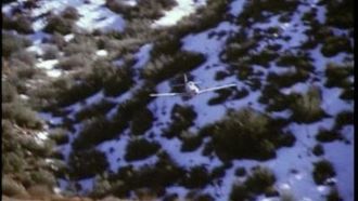 Episode 21 A Flight of Hawks