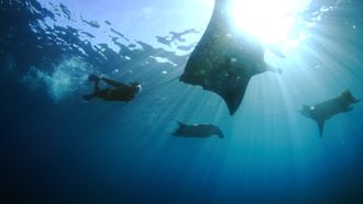 Episode 6 Big Blue Ocean