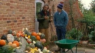 Episode 11 Pumpkin and Squash