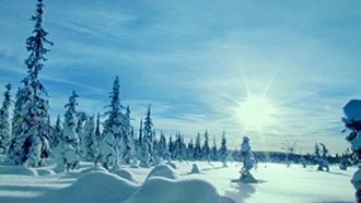 Episode 2 Taiga: The Frozen Forests