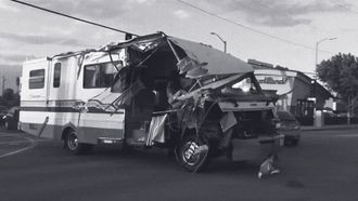 Episode 12 Who Let the Dogs Out?