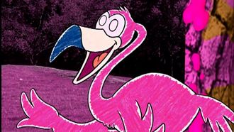 Episode 45 Pinky and the Pink Phenomenon