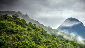 Episode 2 Forest of Clouds