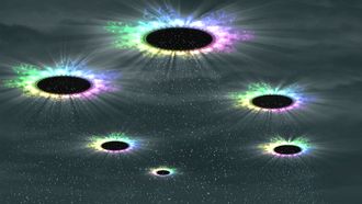 Episode 24 Gates of Heaven