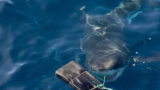 Episode 6 Careful, There's Humans Up There