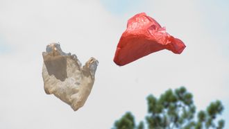 Episode 7 Plastic Bag