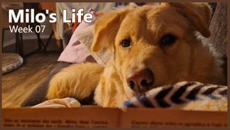 Episode 7 Not-So-Busy Week | Week 07