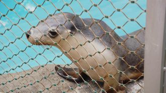 Episode 1 Project Platypus