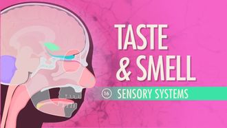 Episode 16 Taste & Smell