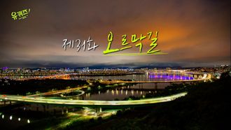 Episode 31 