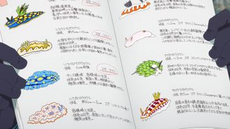 Episode 15 The Great Sea Slug Debate