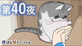 Episode 40 Night 40: Wanting to Stop My Cat From Getting In the Way