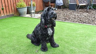 Episode 7 Mission: New Sound