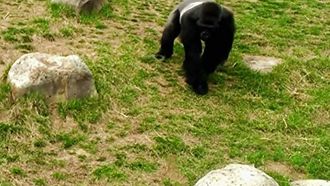 Episode 4 Believe It or Not