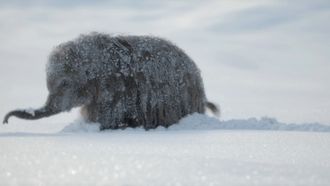 Episode 1 The Big Freeze