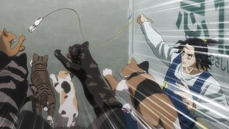 Episode 2 Tonight the Cats Steal the Stars