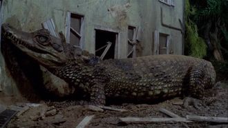 Episode 23 Attack of the Alligators!