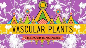 Episode 37 Vascular Plants = Winning!