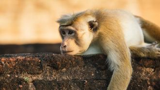 Episode 2 leaving home