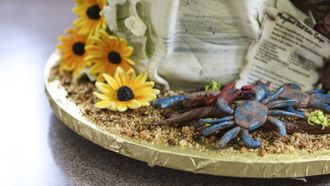 Episode 6 Bling It On