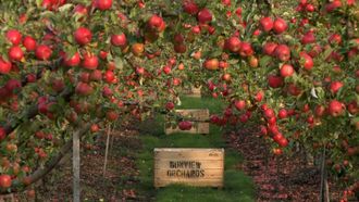 Episode 4 Apples and Cider