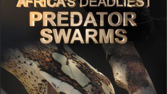 Episode 2 Predator Swarm