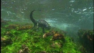 Episode 13 Snake-tacular