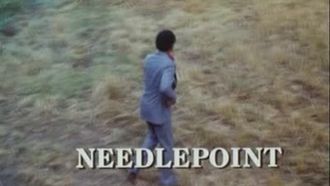 Episode 5 Needlepoint