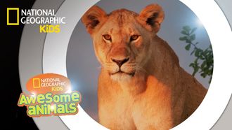 Episode 10 Super Pride