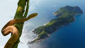 Episode 10 Snake Island