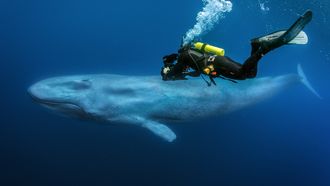 Episode 4 Hunger at Sea (Oceans)