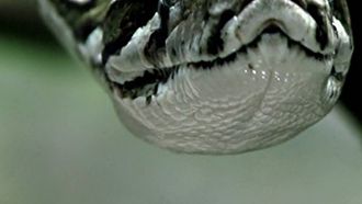 Episode 1 Disorderly Conduct