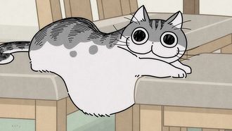 Episode 8 Night 8: Can't Take Good Cat Vids