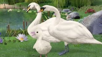 Episode 8 Save the Crane!