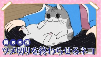 Episode 65 Night 65: A Cat Finishing Up Claw Trimming