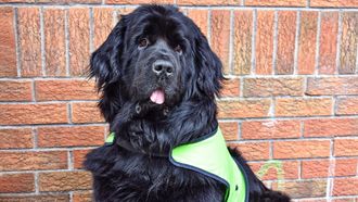 Episode 3 Mission: Big Bear