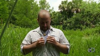 Episode 1 Alligator Alley