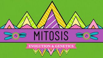 Episode 12 Mitosis: Splitting Up is Complicated