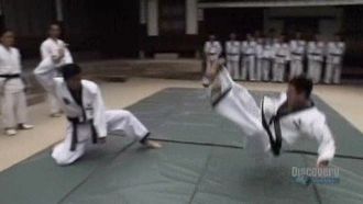 Episode 7 Korea (Hapkido)