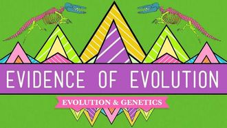 Episode 20 Evolution: It's a Thing