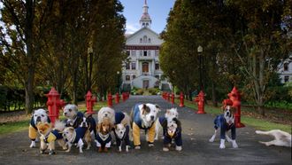 Episode 4 Cooking Up Trouble