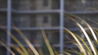 Episode 6 A Myrtle Beach Murder