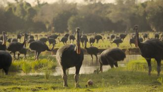 Episode 5 The Big Melt