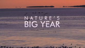 Episode 2 Warnings from the Wild