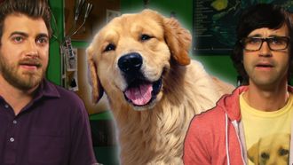 Episode 20 The Dog Curse
