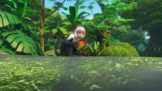Episode 18 Mission: Capuchin Monkey Rescue