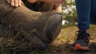 Episode 7 Rhino Conservation
