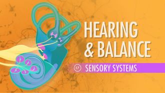 Episode 17 Hearing & Balance